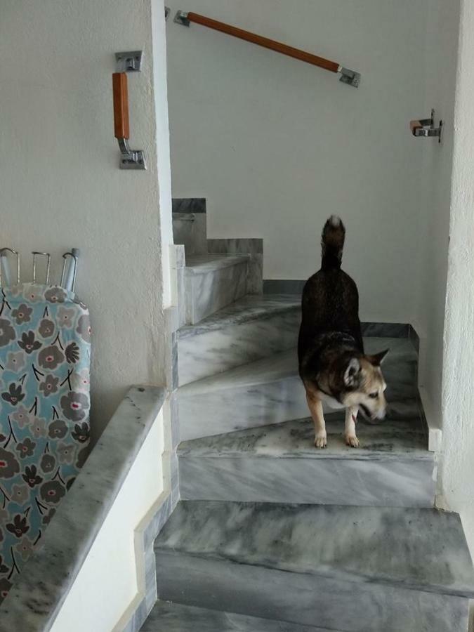 Seaside Beach House Siviri Extérieur photo